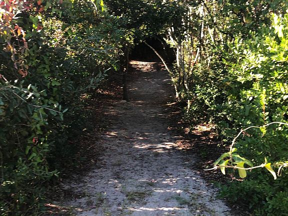 5th image of Lot 14 S. Oak Drive