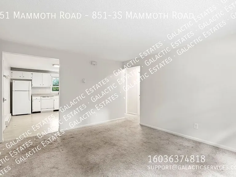 851 Mammoth Rd #3S — Photo 5