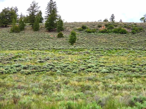 273 Schofield Trail, Powderhorn, CO 81243