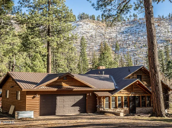 28 County Road 2175 N, Alpine, AZ 85920