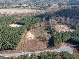 397 Steadman Rd, Tallapoosa, GA 30176