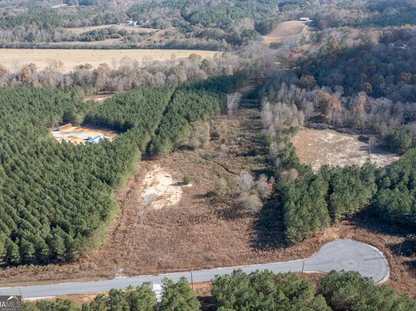 397 Steadman Rd, Tallapoosa, GA 30176