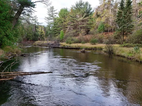 6051 N Manistee River Rd, Frederic, MI 49733