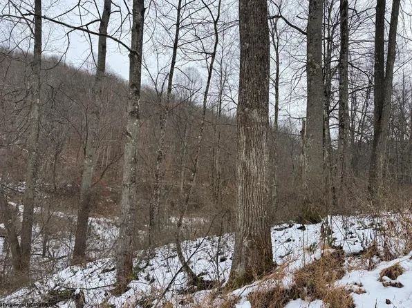 Brains Run, Morgantown, WV 26508