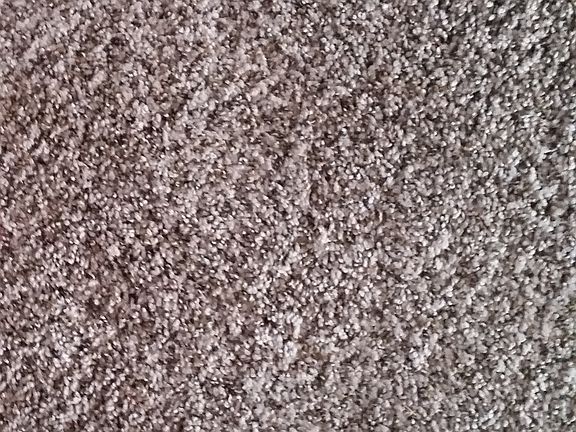 New carpet throughout