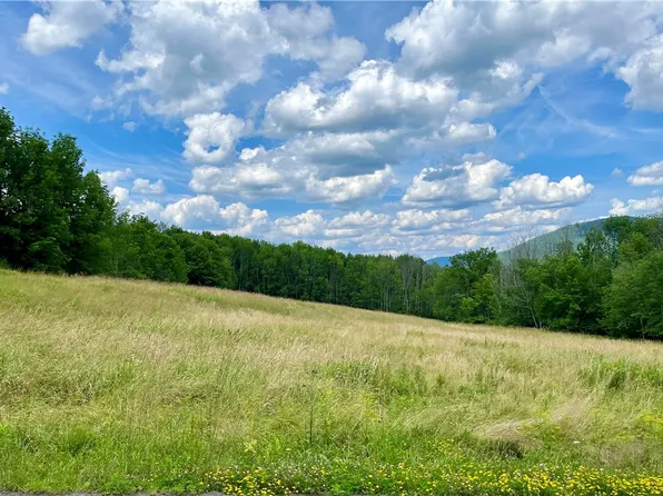 0 Carroll Hinkley Rd #34, Roxbury, NY 12474