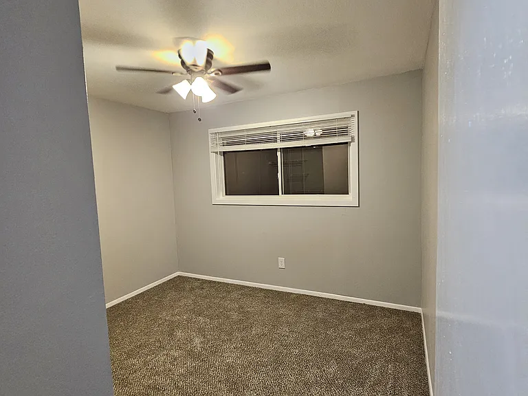 The carpet was removed. The hardwood floors under are solid but damaged.