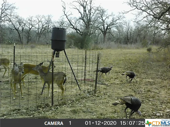 2627 County Road 105, Leesville, TX 78122