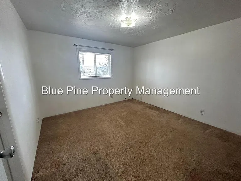 182 Adams St #2 — Photo 8
