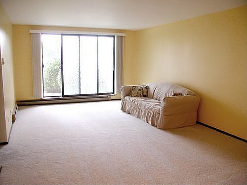 Large Living Room with Plenty of Light!