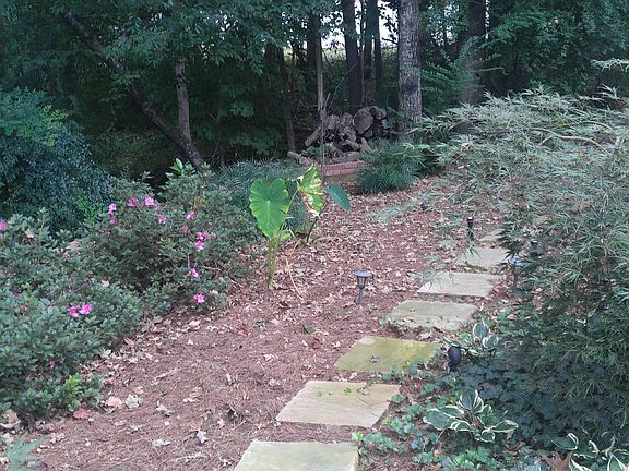 Backyard Stone Path