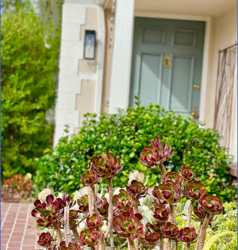 3 bed, 2.5 bath, 2105 sqft, $6,750 — Photo 3