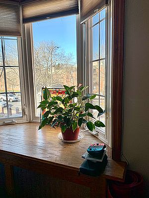 5th image of 2049 21st St