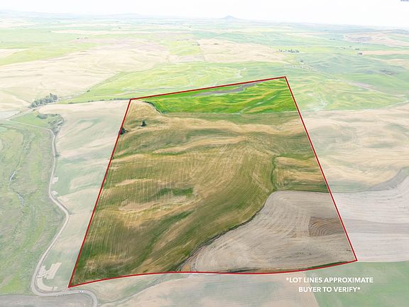 3rd image of Bongarts Rd