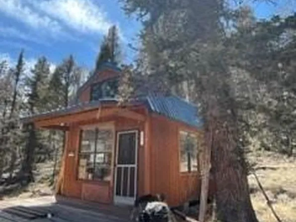 377 Black Mountain Vista, Guffey, CO 80820