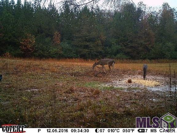 4th image of 568 Tbd Hwy