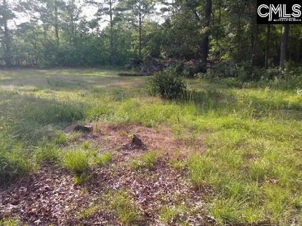 194 Testo Dr, Lexington, SC 29073