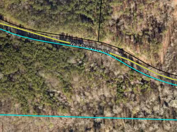 572 Veal Blackjack Rd, Bowdon, GA 30108