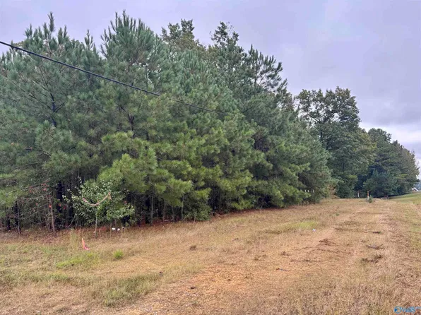2.27 Acre Hwy #231, Arab, AL 35016