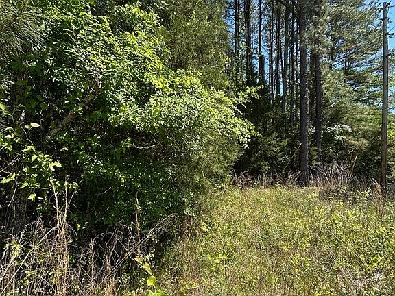5th image of 0 Stewart Rd