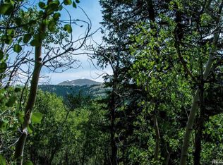 1112 Quartzville Rd, Alma, CO 80420