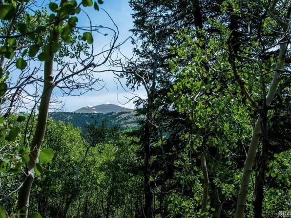 1112 Quartzville Road, Alma, CO 80420