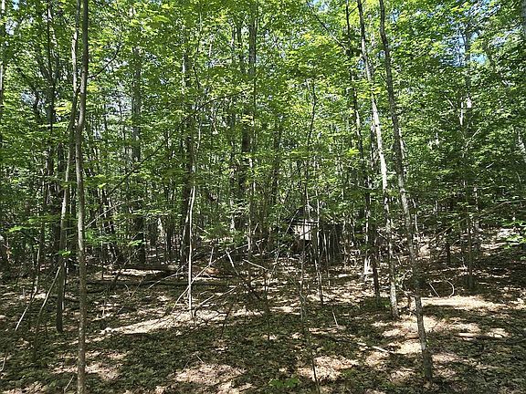 5th image of 406-17 Guinea Ridge Road
