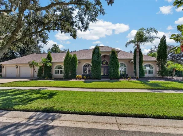 1009 EMERALD CREEK DRIVE, VALRICO, FL 33596