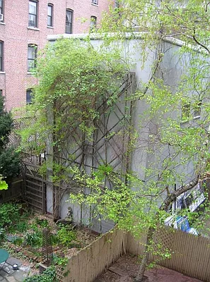 Rented by Keller Williams NYC | media 3