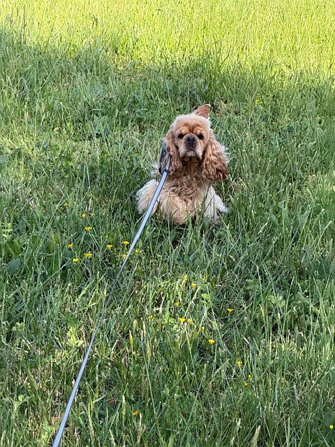 2nd image of 6 Clearview Rd #6