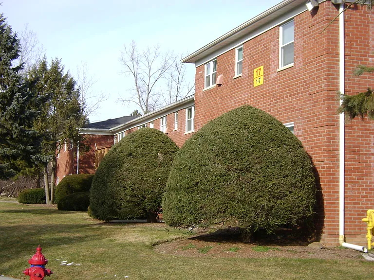 Janet Dr — Photo 6