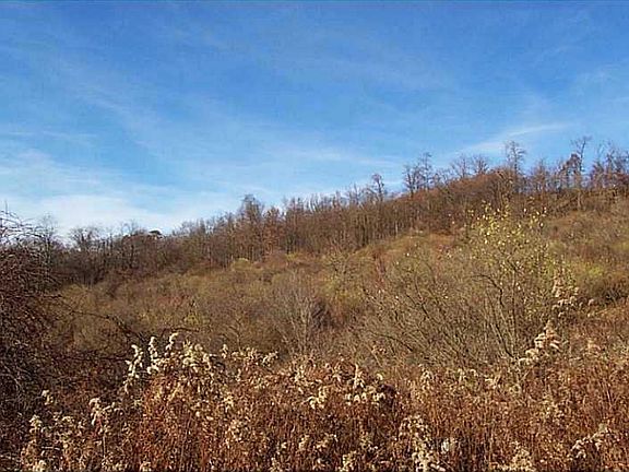 5th image of Lot # 8 Barrington Hts