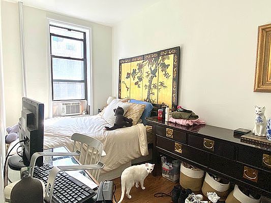 5th image of 235 E 4th St APT 3D