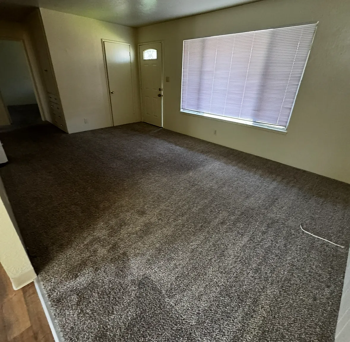 Telegraph Apartments — Photo 4