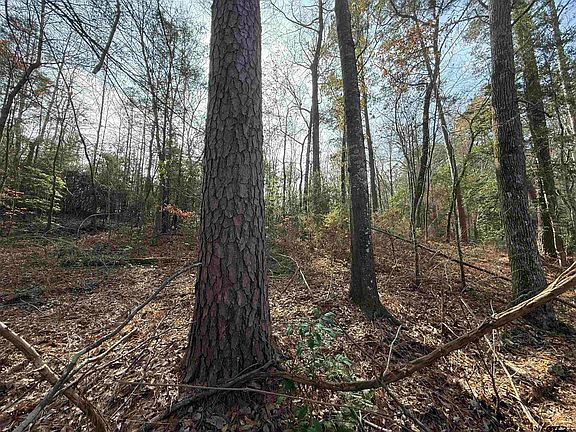 2nd image of County Road 2733