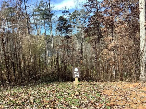 LOT 74 Hope Ct, Ellijay, GA 30540