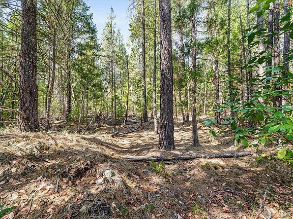 5th image of Pleasant Creek Rd