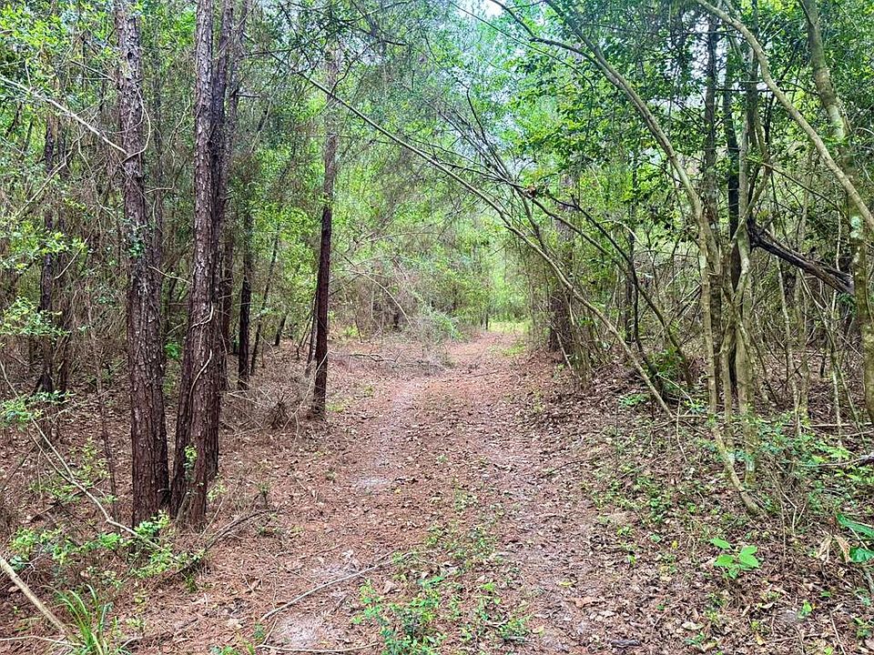 1st image of 17 Accres County Rd #1375