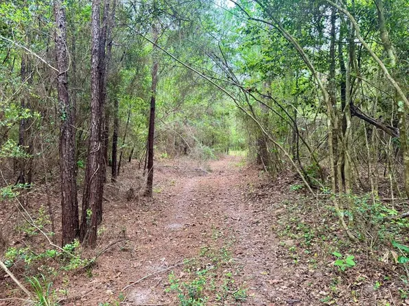 17 Accres County Rd #1375, Warren, TX 77664