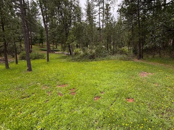 6428 Twin Oaks Ct, Foresthill, CA 95631