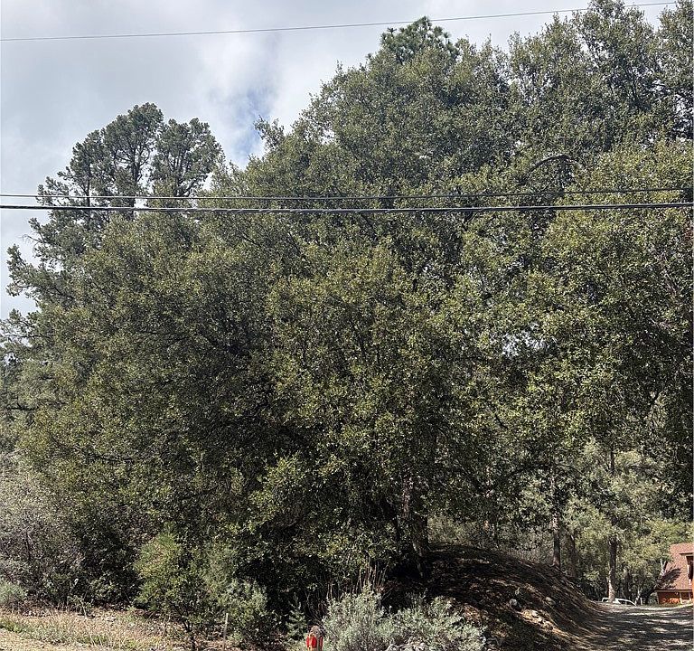 2nd image of 1709 Zion Way #693