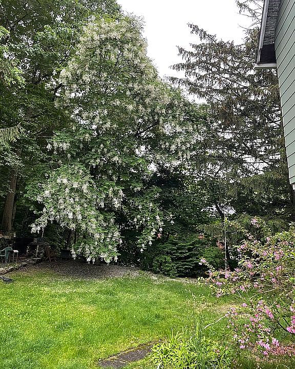 2nd image of 58 Wakelee Avenue Ext