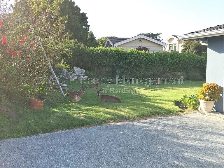 170 Del Monte Blvd — Photo 10