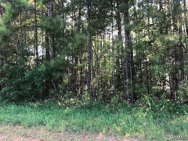 1st image of 5104 Oak Way
