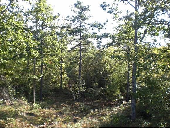 2nd image of Lot 7 Caitlin Drive