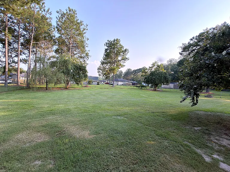 Large fully fenced backyard with plenty of open lawn
