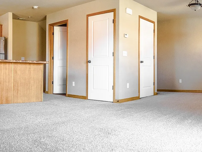 2869 W Hillshire Dr — Photo 6