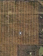 1st image of 1402 Gooseberry Lane