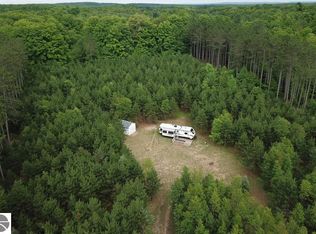 8767 Rustic Ln SW, Fife Lake, MI 49633