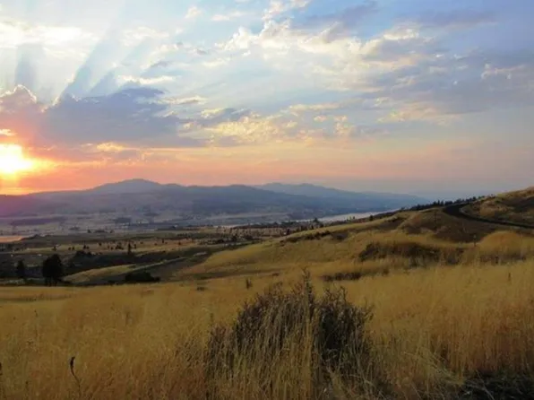 41150 Lakeview Heights Dr N, Davenport, WA 99122